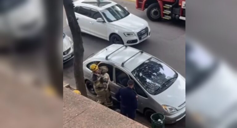 Bombeiros retiram vidro de carro e resgatam cachorro em Canoas