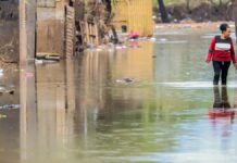 Chuva no Rio Grande do Sul: São Paulo oferece ajuda diante de crise climática
