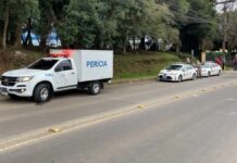Perícia revela possível origem de crânios encontrados por crianças em praça