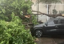 defesa civil alerta temporal