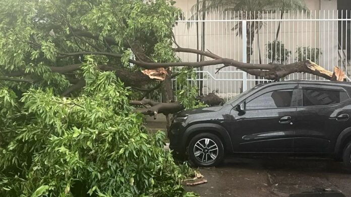 defesa civil alerta temporal