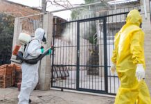 dengue em Canoas