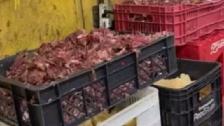 fabrica salgados interditada