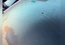 Carros amanhecem cobertos de gelo em Canoas