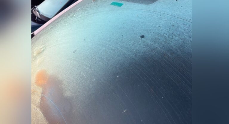 Carros amanhecem cobertos de gelo em Canoas