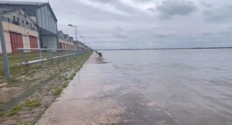 Guaíba atinge cota de inundação; Veja nível