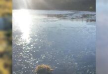 VÍDEO: Frio intenso congela lago no Rio Grande do Sul