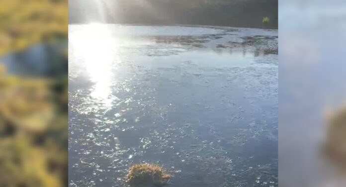 VÍDEO: Frio intenso congela lago no Rio Grande do Sul
