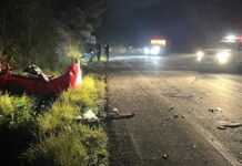 motorista morre colisão carros