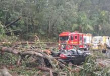 motorista Sapucaia do Sul