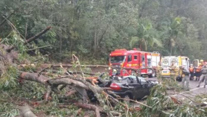motorista Sapucaia do Sul