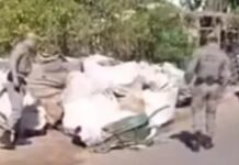 Mulher é morta a tiros no Passo das Pedras em Porto Alegre