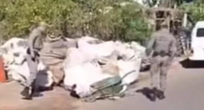 Mulher é morta a tiros no Passo das Pedras em Porto Alegre