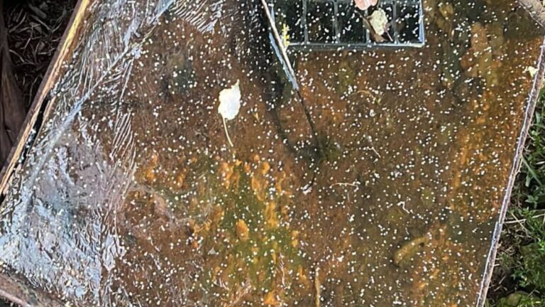 neve rio grande do sul