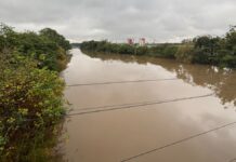 Veja como está o nível do rio Gravataí em Canoas