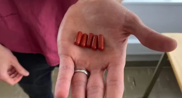 Saiba como funcionam as 'Pílulas de cocô', utilizadas para combater infecções