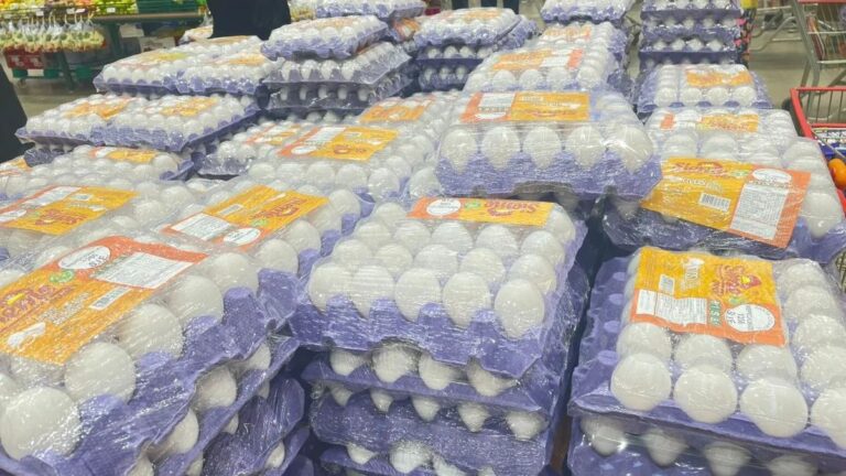 promoção ovo atacado Canoas