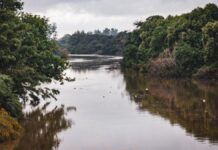 rio gravataí Canoas