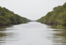 Imagem do rio Gravataí em Canoas; Nível dos rios do Rio Grande do Sul devem ficar altos ainda nos próximos dias