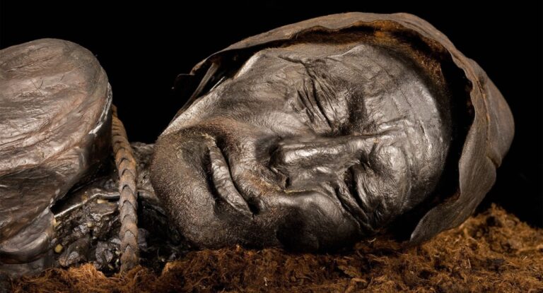 Imagem das Múmias do pântano