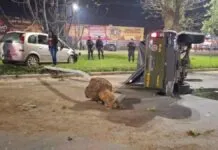 Na foto, a viatura da Brigada Militar na ocorrência do capotamento em viamão