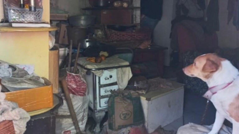 Na foto, mostra a casa onde a mulher deixava a mãe