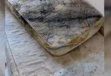 Na foto, o colção que pegou fogo na ocorrência da adolescente que colocou fogo e matou a irmã