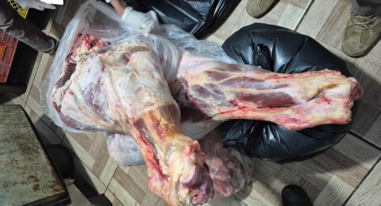 Fiscalização apreende uma tonelada de alimentos impróprios em supermercados