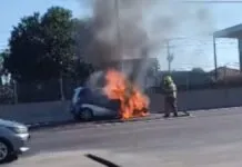 Imagem mostra carro pegando fogo na BR-116 em Canoas