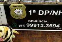 Na foto, a cadela que localizou as drogas para a policia