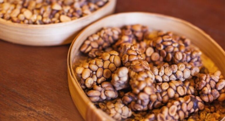 Foto do café que é feito com fezes