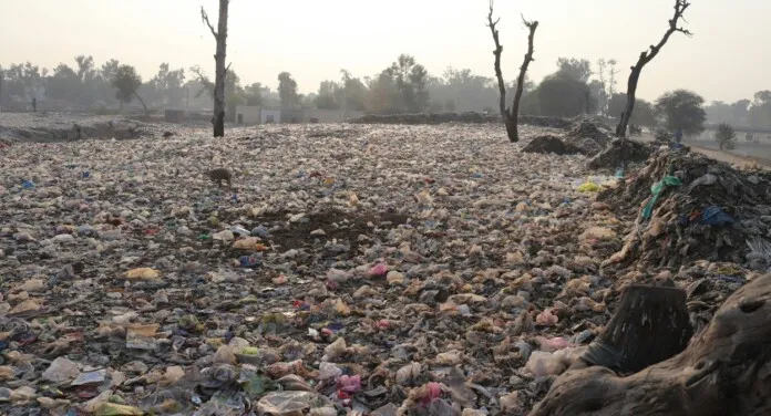 Foto ilustra pensamentoss do professor Carlos Nobre sobre o iminente colapso da Terra