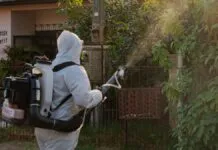 na foto, pulverização da dengue