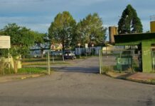 Mulher invade escola e agride diretora
