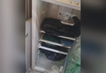 Homem mata amigo e tritura partes do corpo em liquidificador