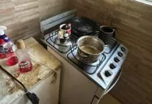 Idosas que se alimentavam de ração de gato são resgatadas em situação crítica
