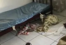 Idosos são encontrados em situação crítica em asilo