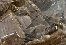 Foto mostra chocolates em que foram encontrados larvas e insetos
