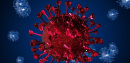 Nova variante da Covid-19 segue sob monitoramento e ainda não foi confirmada oficialmente no Brasil.