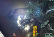 Carro cai de ponte e deixa motorista ferida