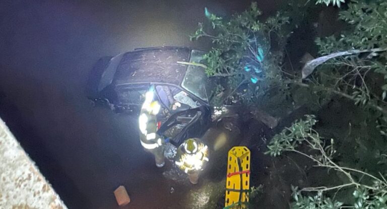 Carro cai de ponte e deixa motorista ferida
