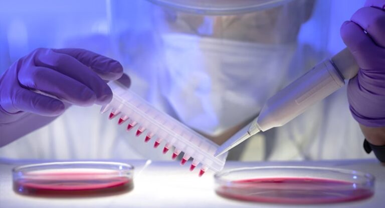 Imagem mostra cientista analisando cromossomos da síndrome de down