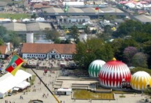 Expointer 2025