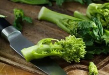 foto de um brócolis italiano. Hortaliça pode causar doença rara conhecida como botulismo