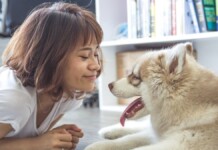 Estudo revela se cachorros gostam de voz fininha