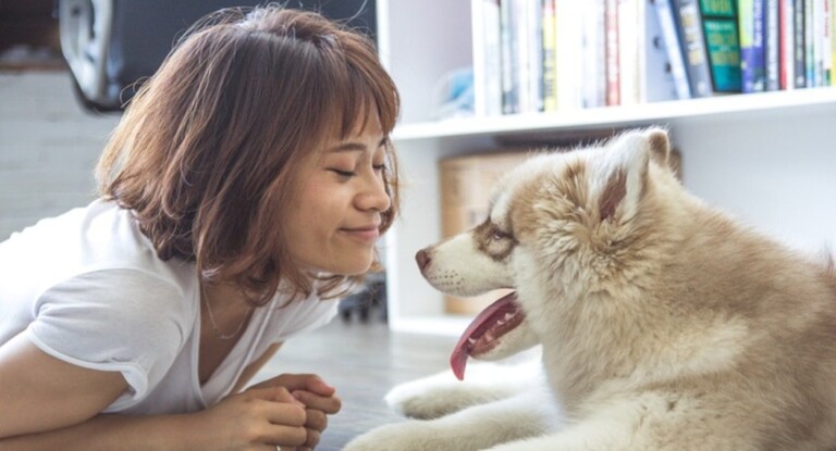 Estudo revela se cachorros gostam de voz fininha