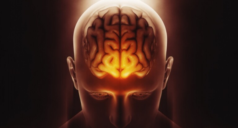 As mudanças climáticas estão 'superaquecendo' nosso cérebro