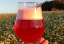 ‘Chopp de morango do amor’ será lançado na Expointer