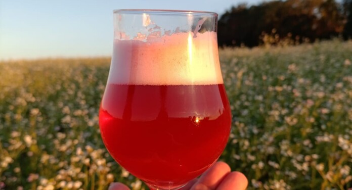‘Chopp de morango do amor’ será lançado na Expointer