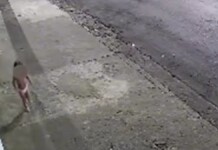 VÍDEO: Criança de 3 anos é vista andando sozinha de fralda na rua; "Eu quero a mamãe"